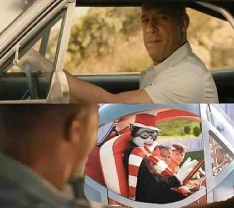 No car is faster than S.L.O.W.