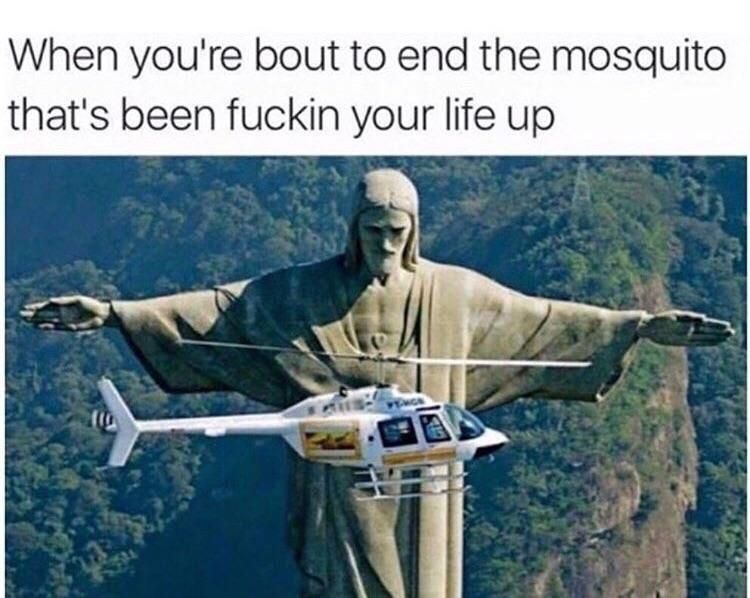 Those mosquitoes