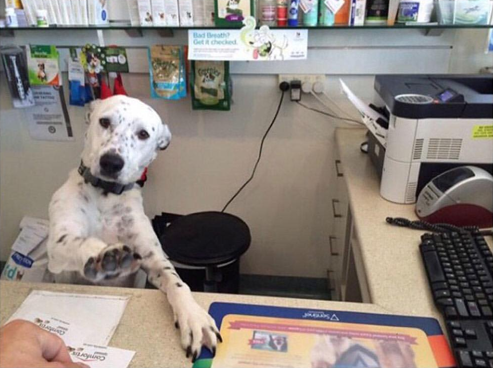 Ma'am, I'm doing everything i can