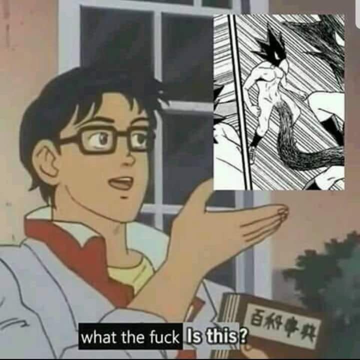 EXPLAIN
