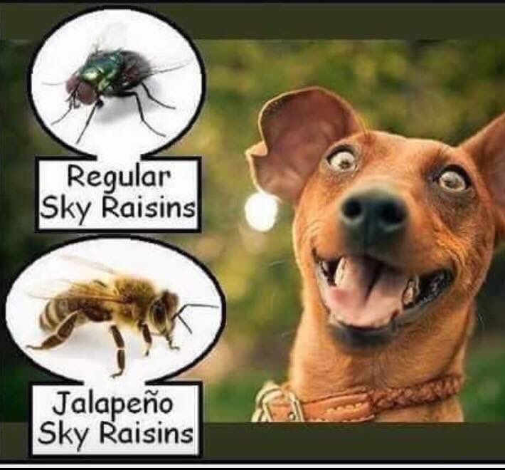 Sky raisins