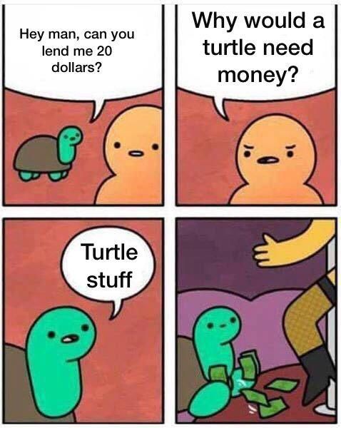 As a turtle, this is Relatable