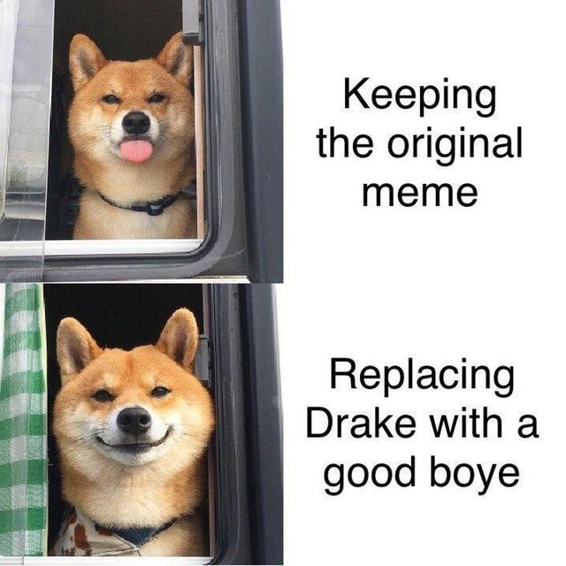 Who's a good doggo?