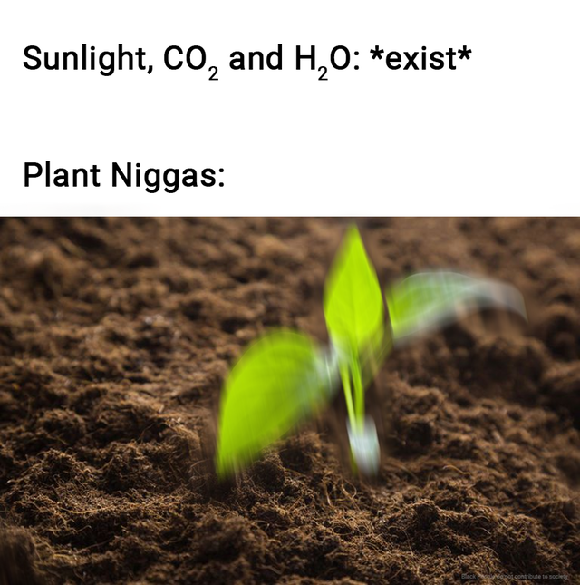 Photosynthesis intensefies