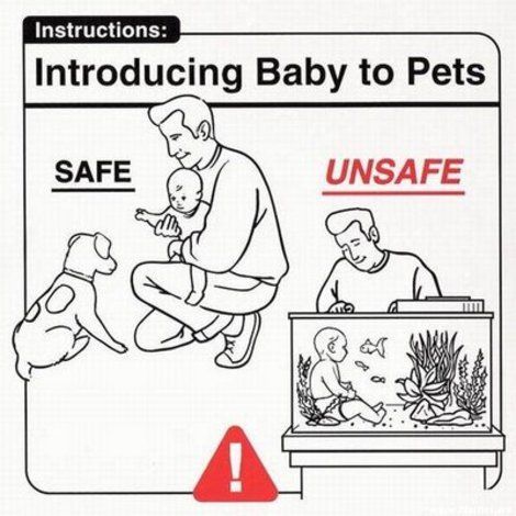 Remember be safe introducing your child to pets.