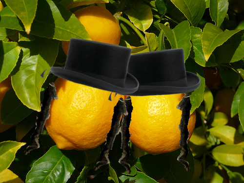 Was asked for lemon juice...