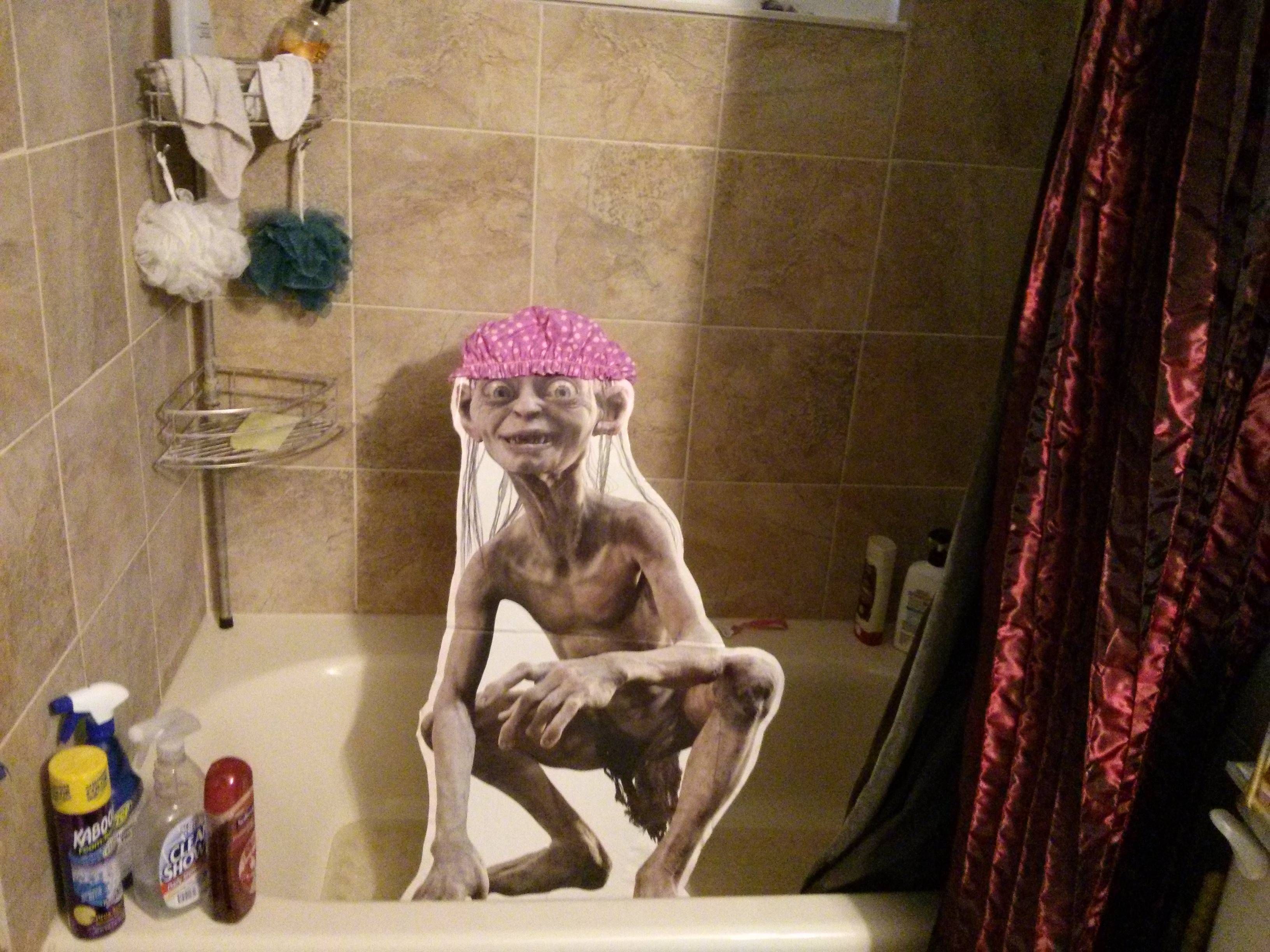 I found a Smeagol cutout at a flea market. I live with two other people. Let the games begin.