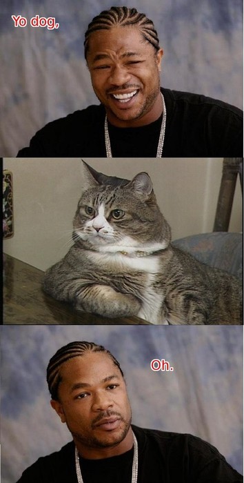 Yo cat?!