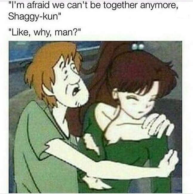 It's a mystery, gang!