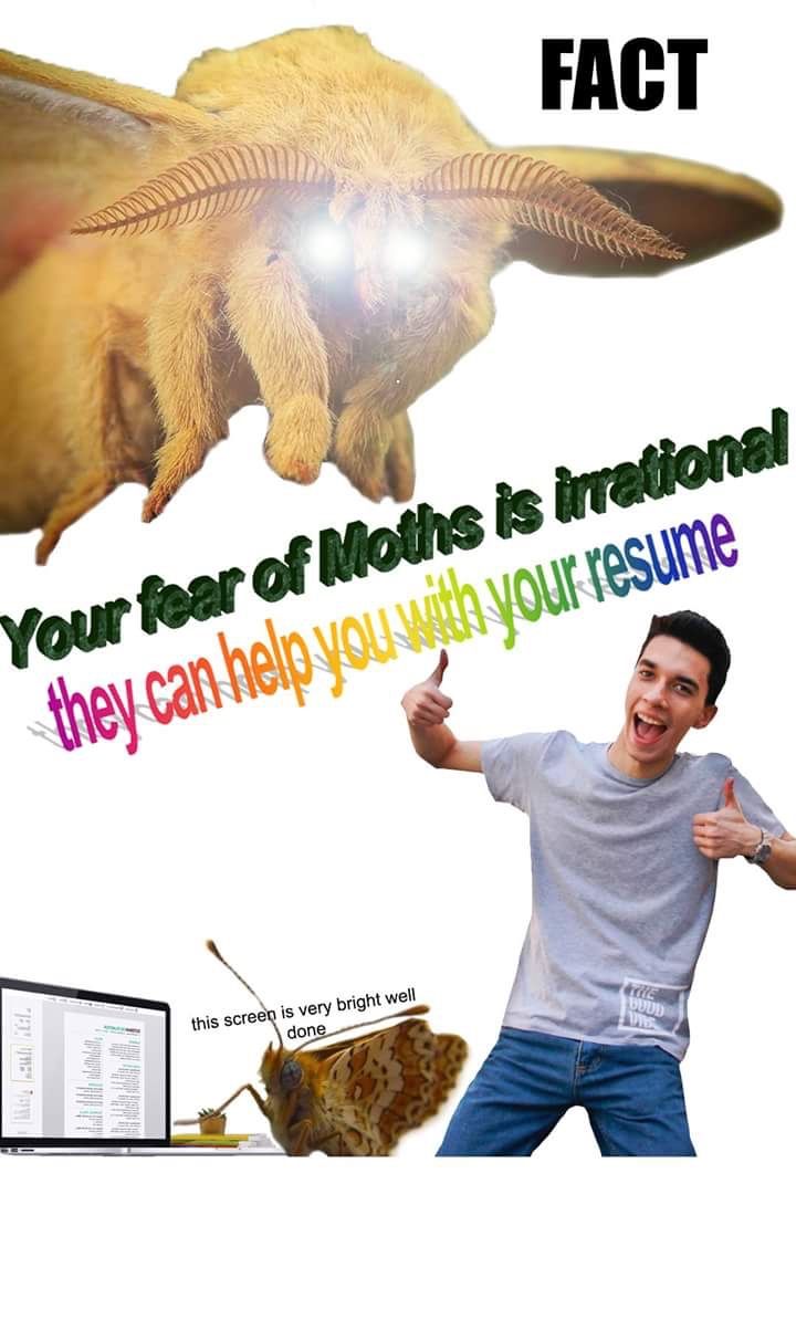 Expand your horizons