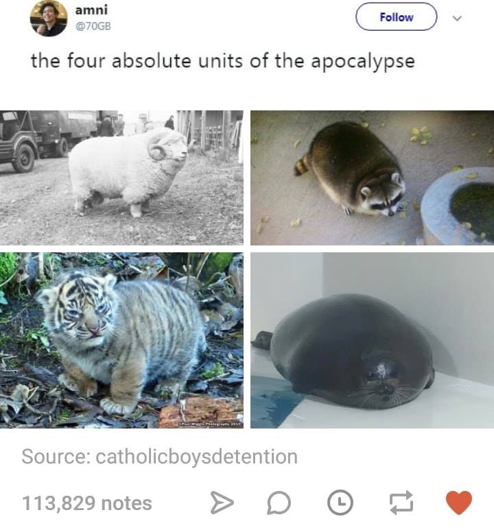 4 absolute units of the apocalypse