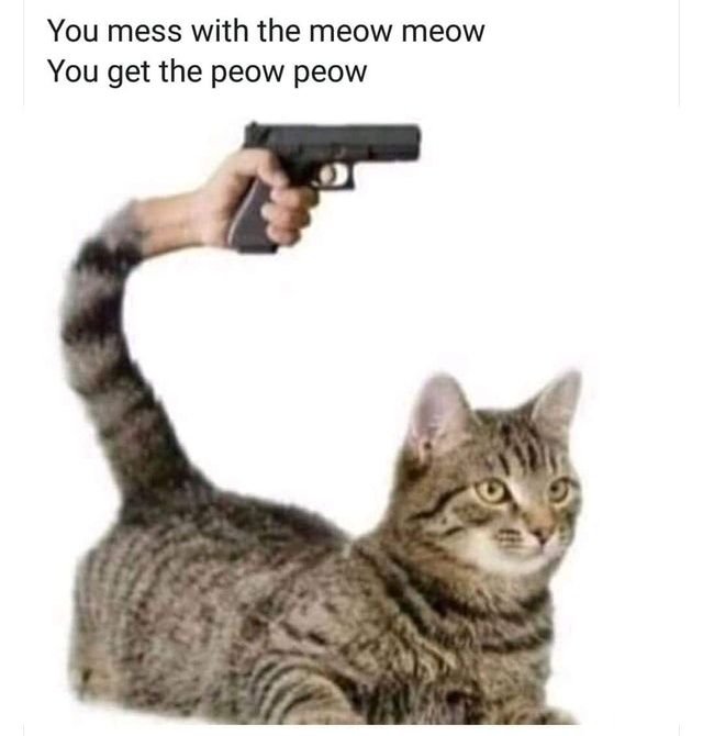 Scoundrel be gone
