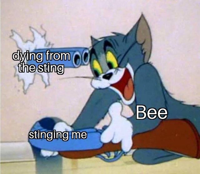 You could've avoided this