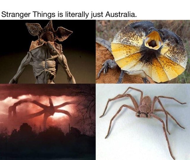 Australian things