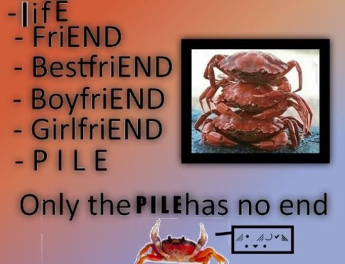 ｃｒｕｓｔａｃｅａｎ　ｐｉｌｅ　ワゾピ