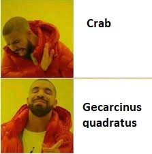 low-quality shitpost 11