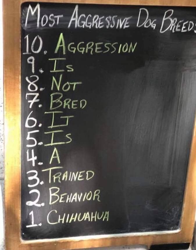 Top 10 most aggressive dog breeds