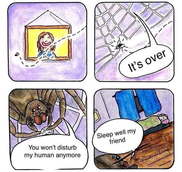 Spiders are just protecting us