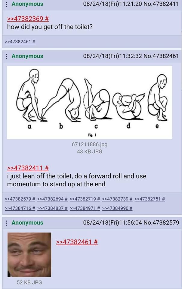 Anon goes to the toilet