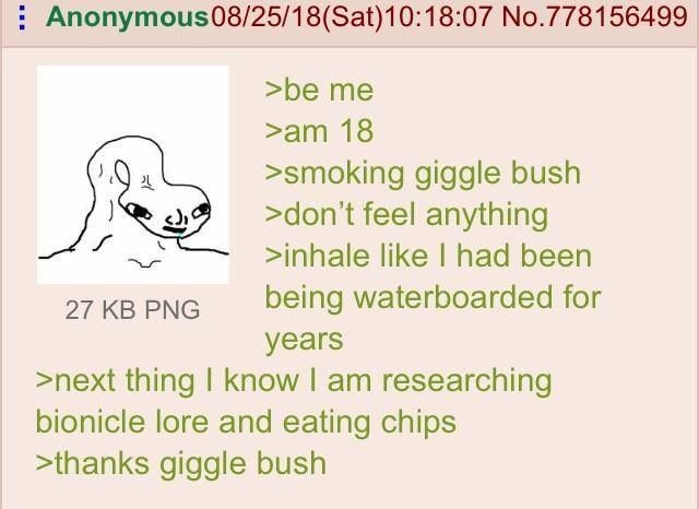 Anon smokes some giggle bush