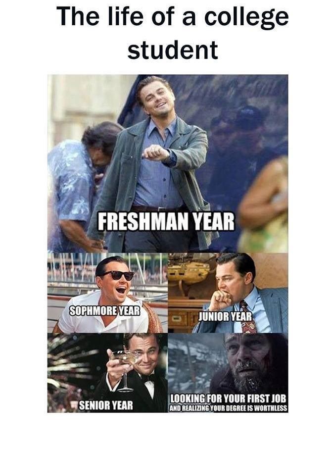 The lifecycle of a college student.