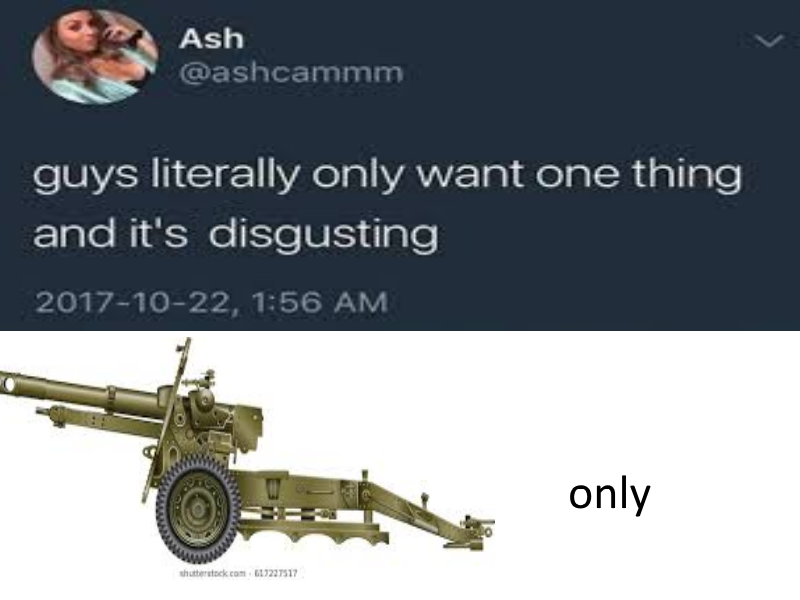 FOR THE ARTILLARUS