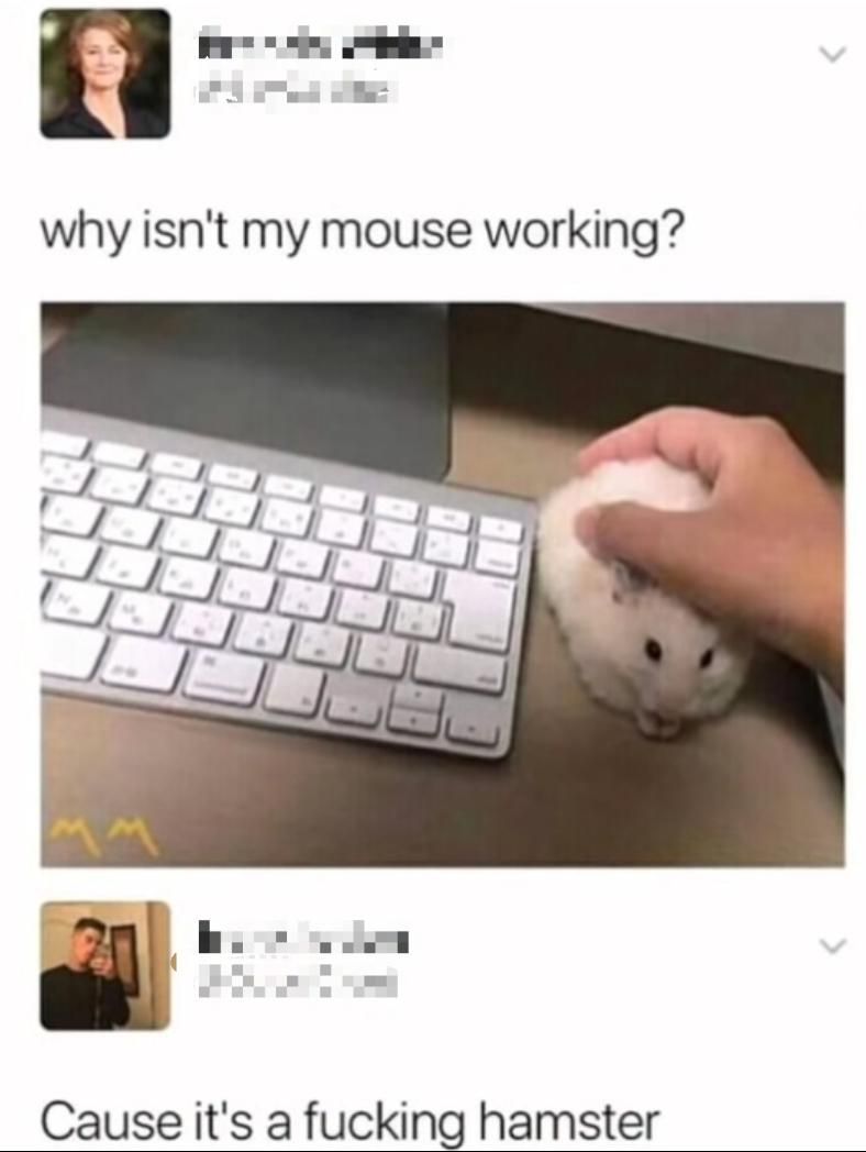 Her wireless hamster isn't working