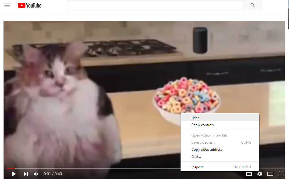 YouLööp