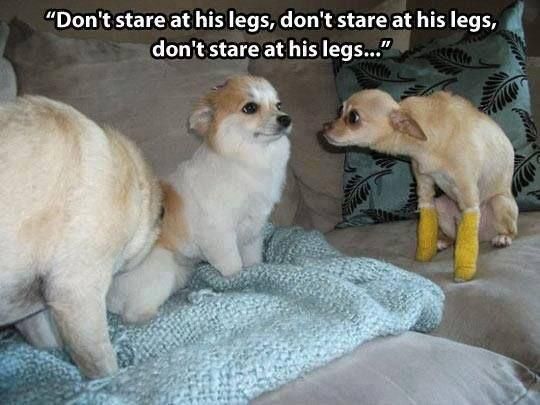 Don't dare judge me legs Greg