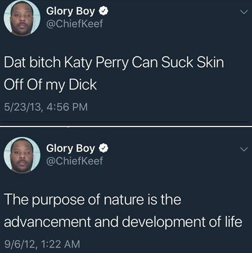 What do people even do on twitter?