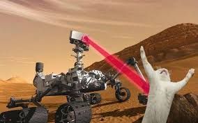 I Googled "curiosity killed the cat." I was not disappointed.