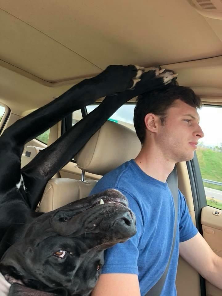 Going on a Road Trip !