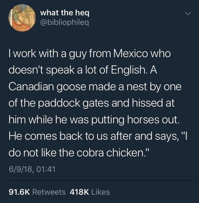 Cobra Chicken.