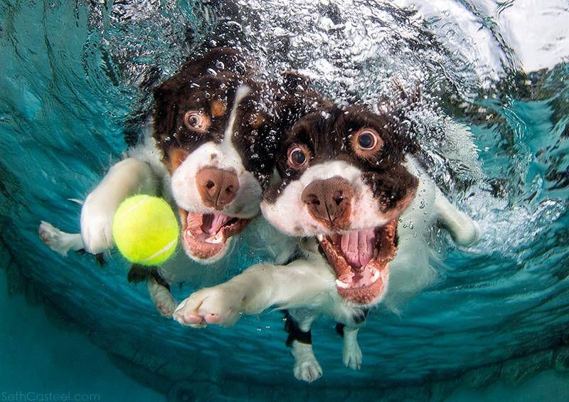 Underwater photo of two bois of the good trying to get to the ball