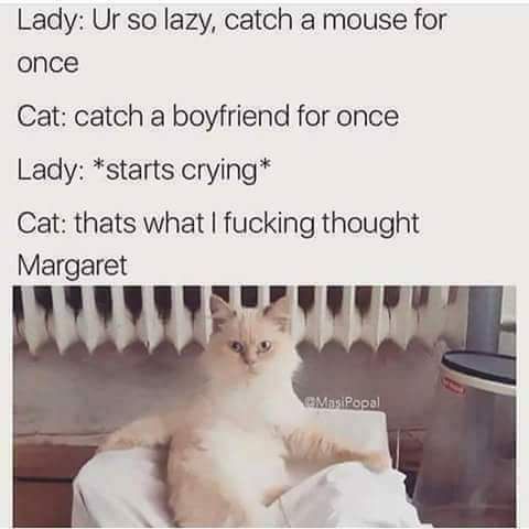 Cats are savage, mate.