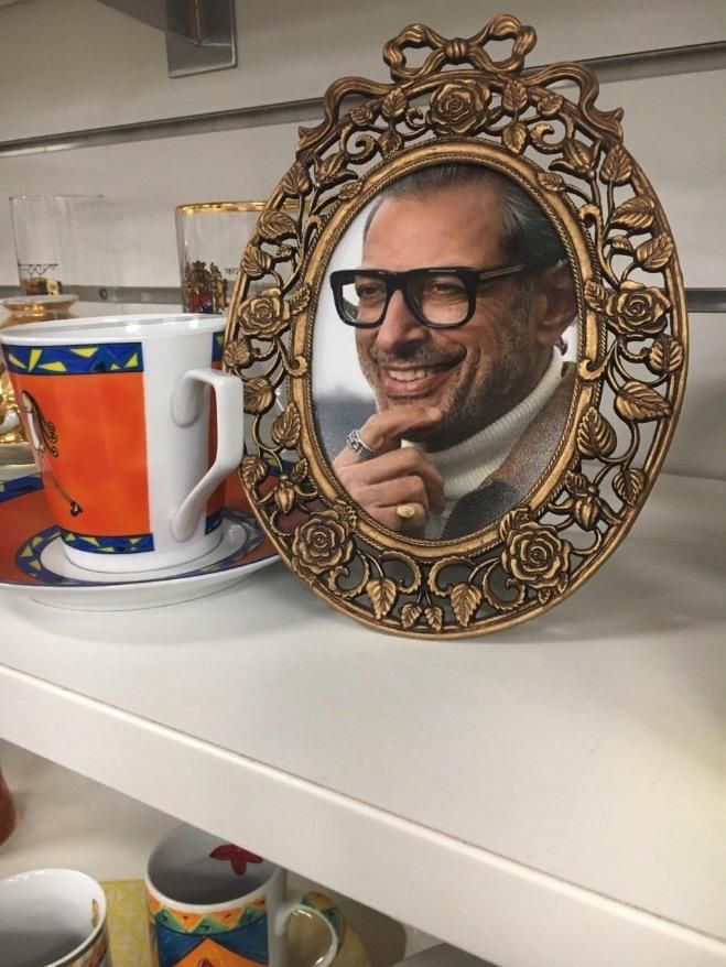 This charity shop put Jeff Goldblum in every single photo frame