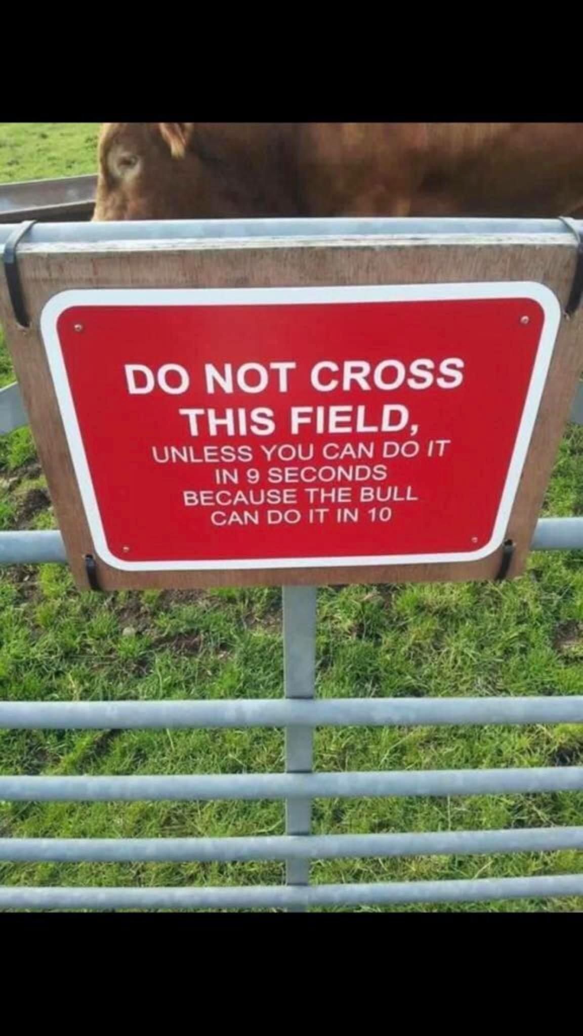 Do not cross!!