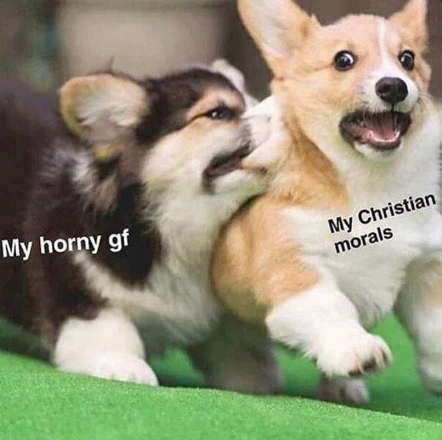 Fly you fool!
