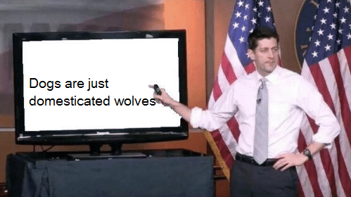 now it's correct