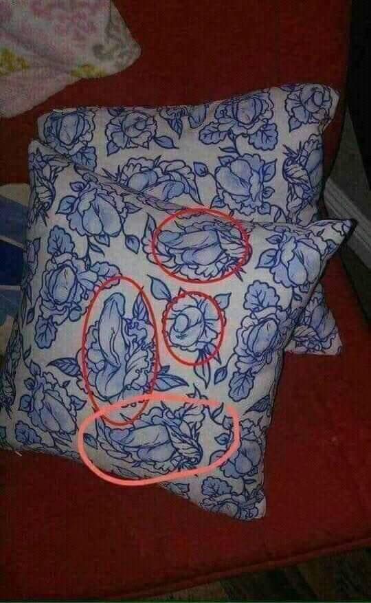 There was always something odd about this pattern on Grandma's pillows. And then...