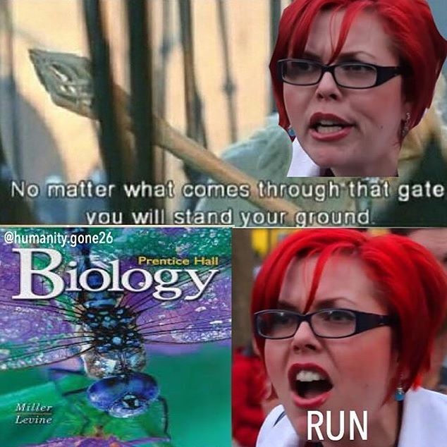 last one