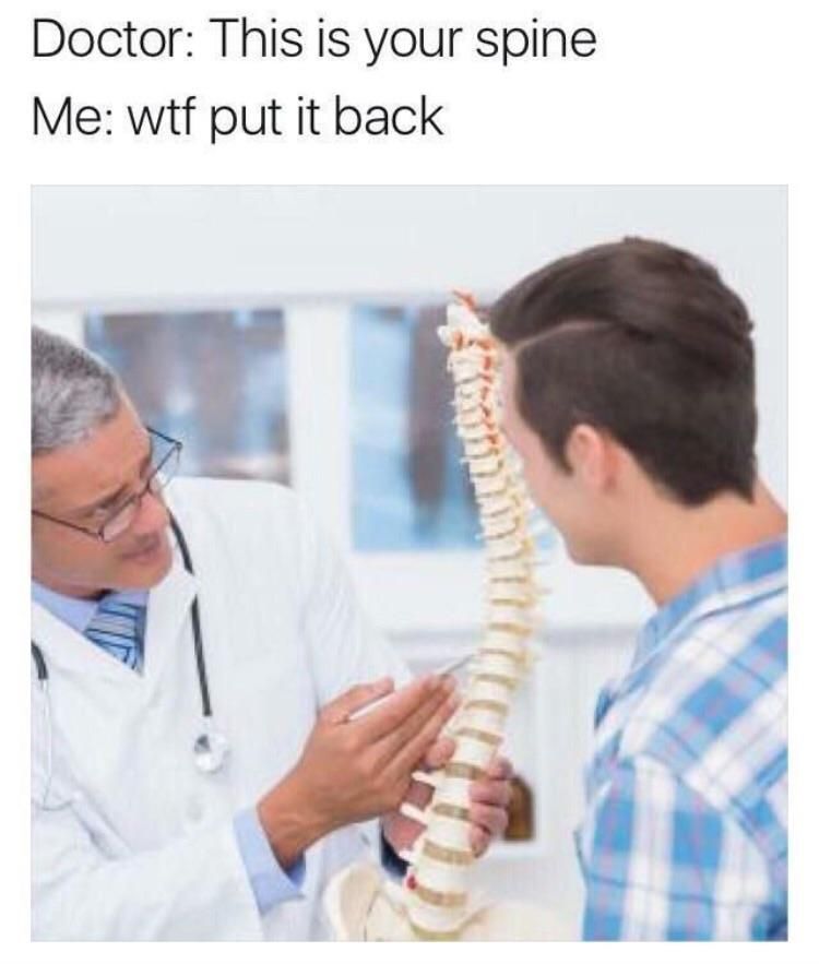 Behold, your spine