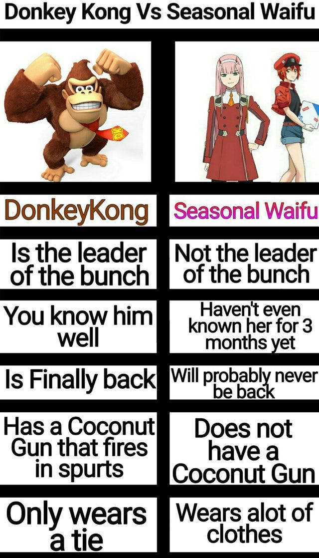 Donkey Kong is best girl