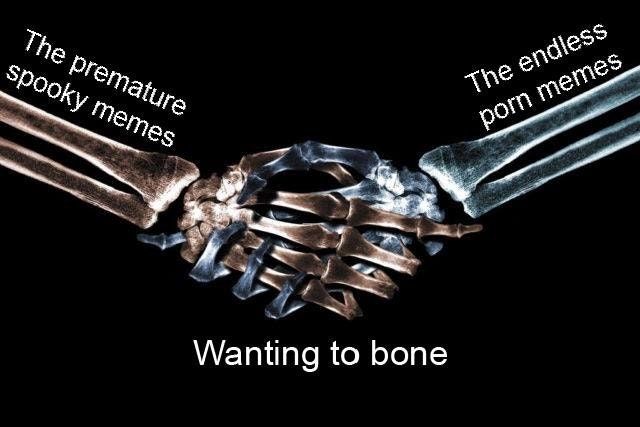 Bone