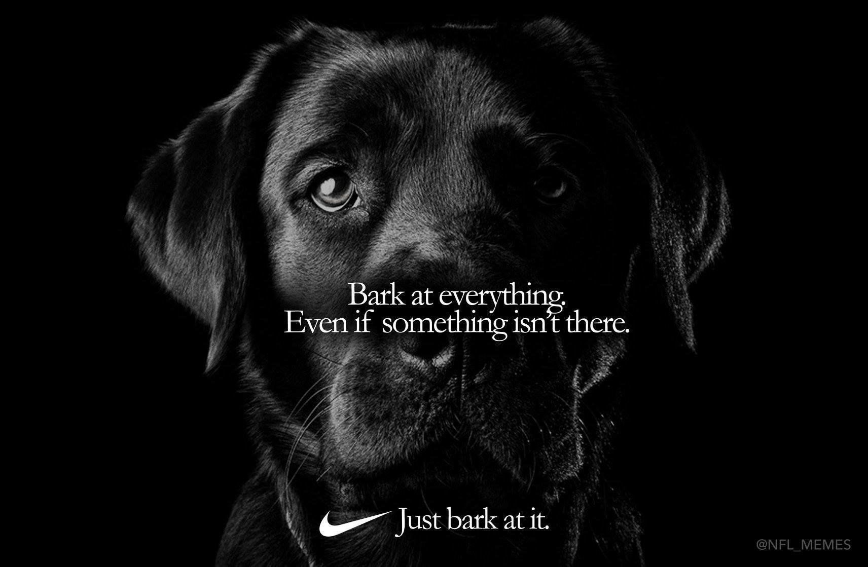 Just bark at it