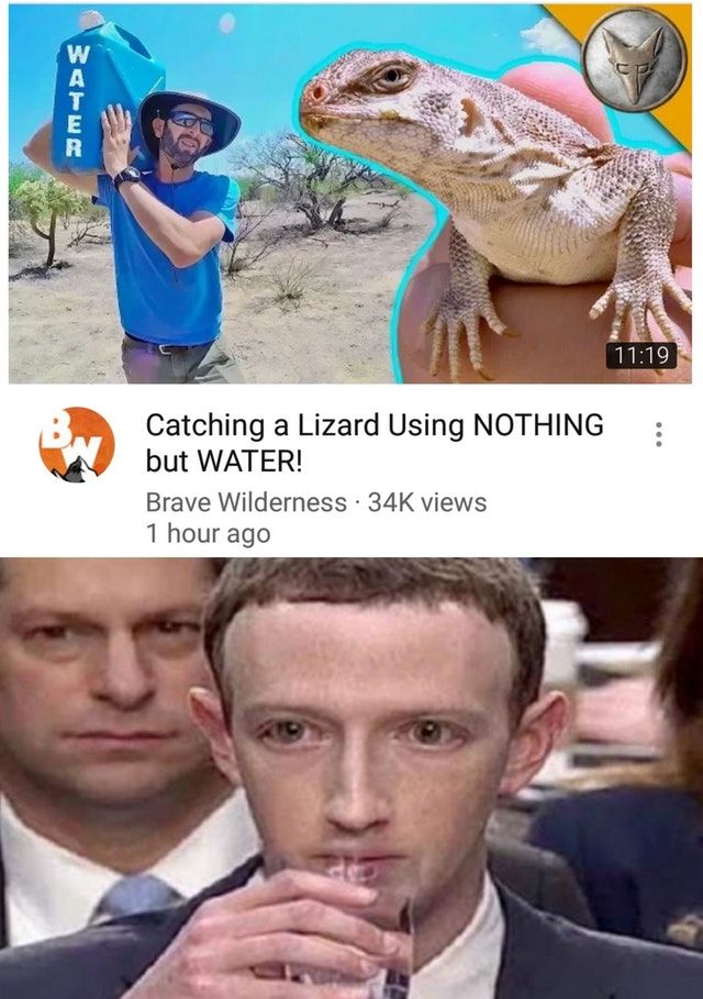 Get bamboozled lizard