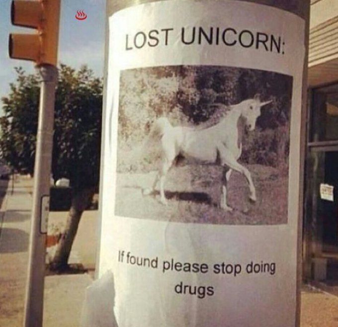 Anyone seen this unicorn?