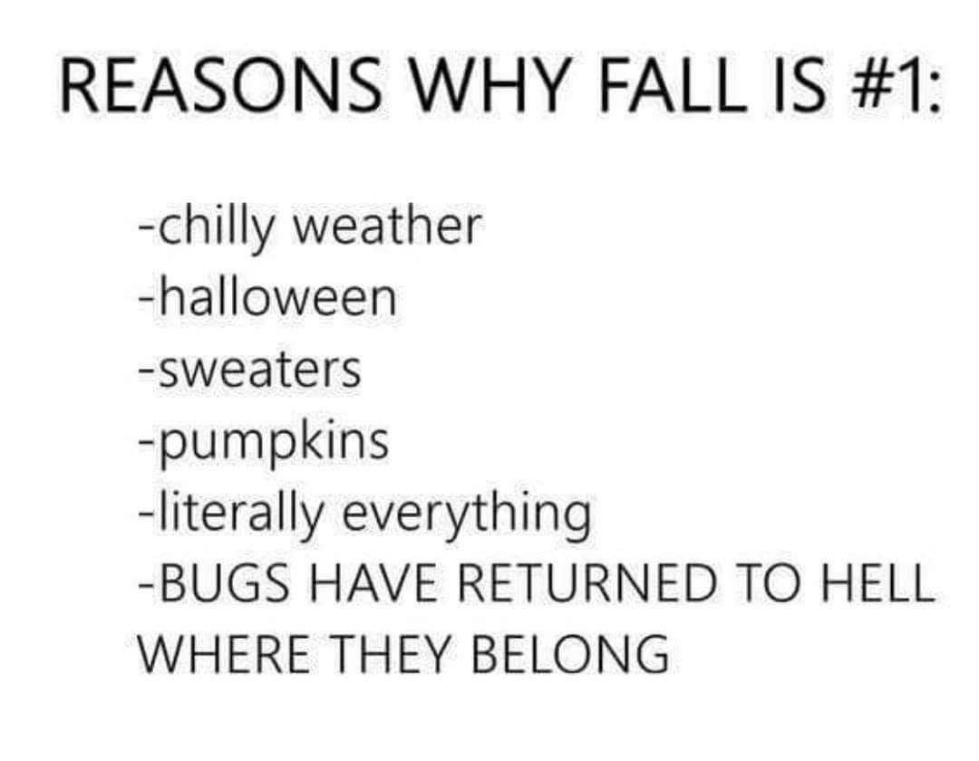 Why is fall my favorite season?