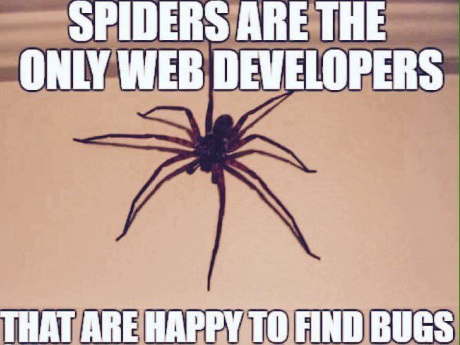 Is it spider a good web developer?