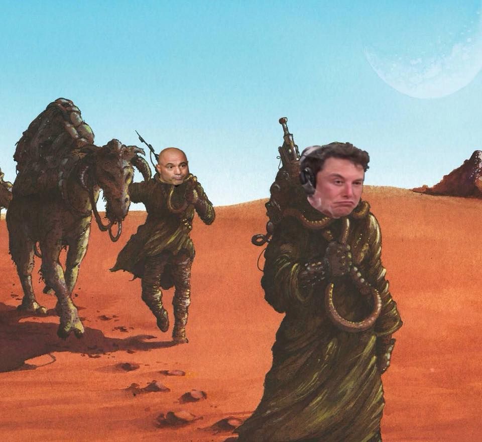 it is wednesday my dunes